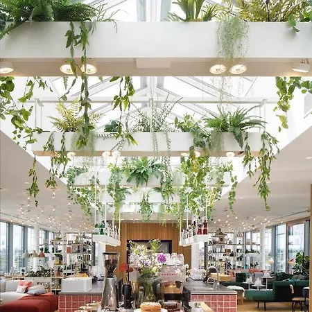 Zoku 4*