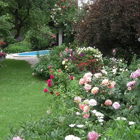 Ferienhaus Im Garten Mit Pool