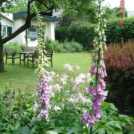 Ferienhaus Im Garten Mit Pool Wien