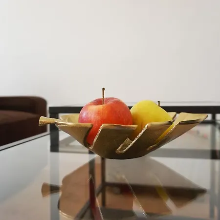 Apartment Zieglergasse Vienna