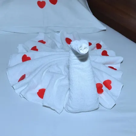 Hotel Primus & 3*