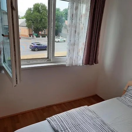 Apartment Lion