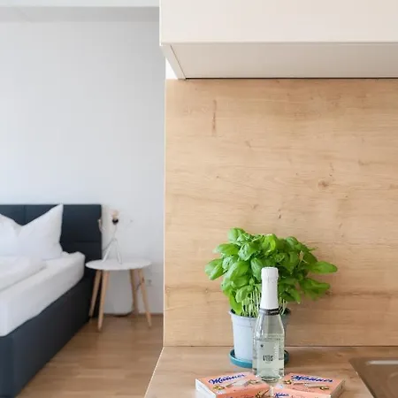Helles, Neues Dg Mit Blick Zum Donauturm Apartment
