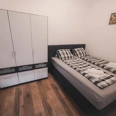 Apartment Renovated Close To First District Vienna