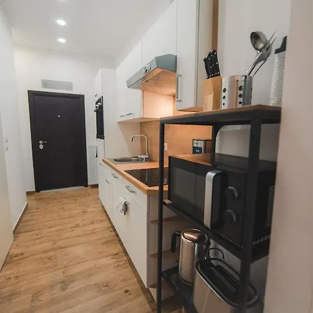 Renovated Close To First District Vienna