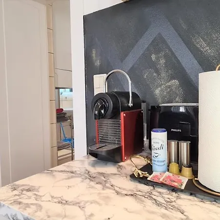 Wiener Buddha Style Flat With Inner Garden- Marzstrasse فيينا