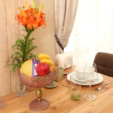 Opera Appartement Vienne