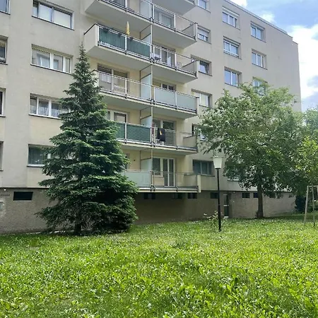 19 * Vienna