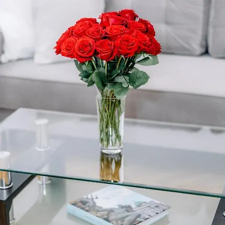 Stylish Apartment