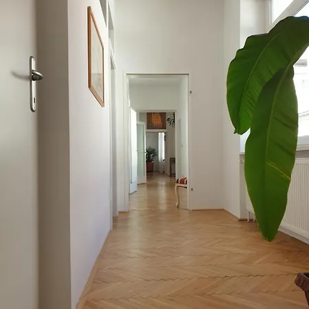 Sunny And Spacious Near Centre Apartment