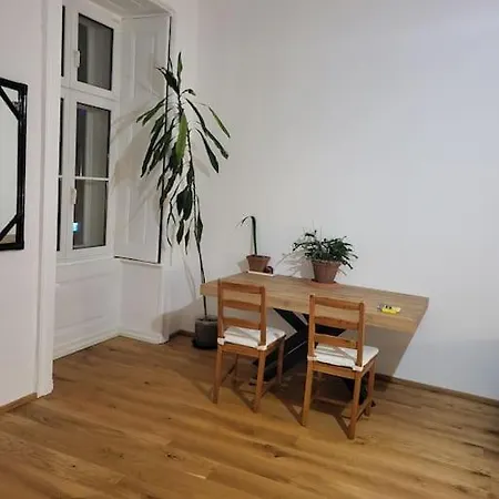 Apartment Sehr Zentral Gelegen Vienna