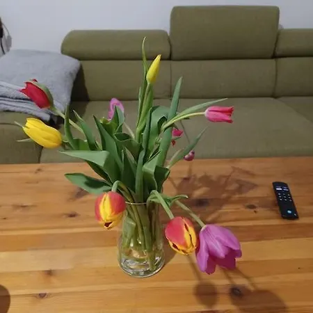 Apartment Sehr Zentral Gelegen