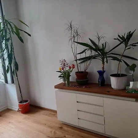 Sehr Zentral Gelegen Apartment Vienna
