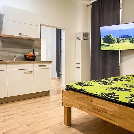 Senator Flat Paulusgasse 6 *