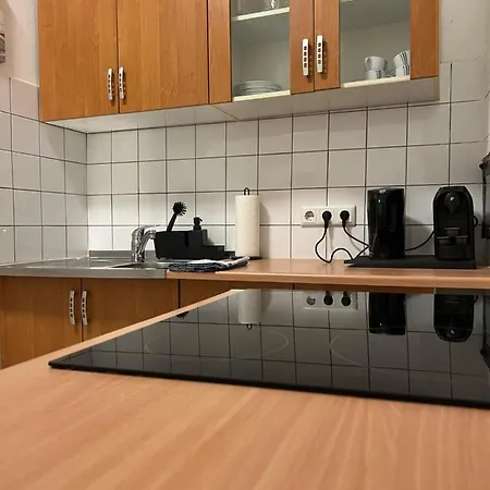 Spacious & Deluxe Big Near Prater * فيينا