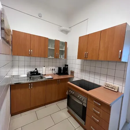 Spacious & Deluxe Big Near Prater Apartment