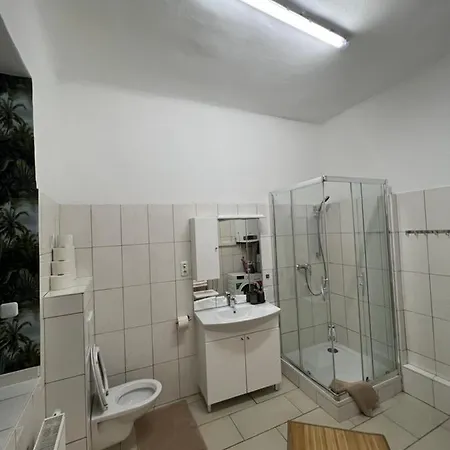 Spacious & Deluxe Big Near Prater شقة