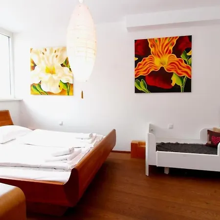 Rooftop Garden Loft 360 View Over Wien