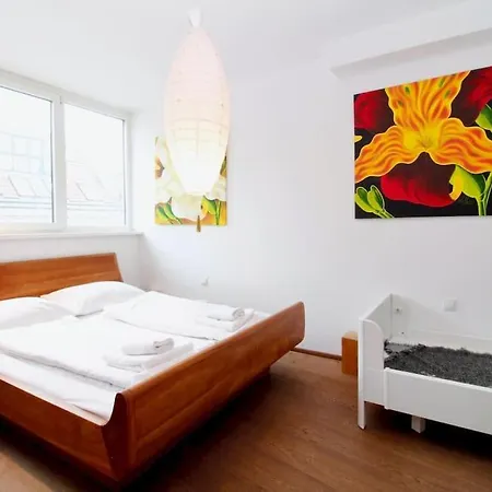 Rooftop Garden Loft 360 View Over Apartment *