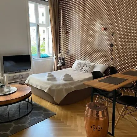 Apartment Modern Viennese Mid-century Vienna