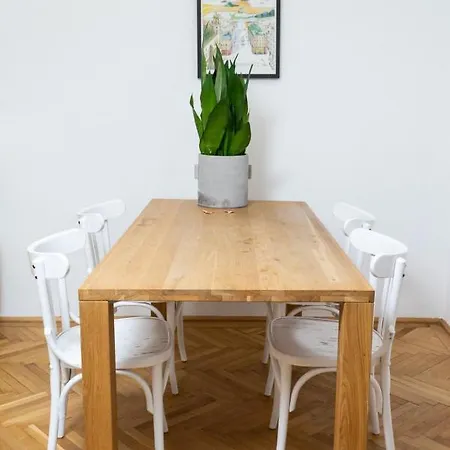 Altbauschatz Am Alsergrund, Naehe Innere Stadt * Vienna