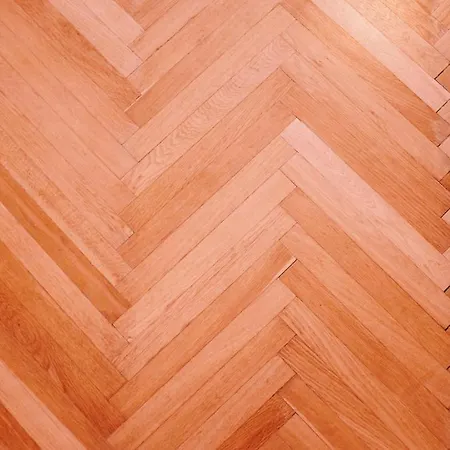 Altbauschatz Am Alsergrund, Naehe Innere Stadt Apartment Vienna