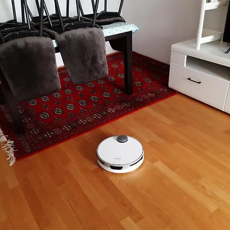 Apartment Lion