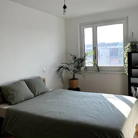 New! Near Schonbrunn Palace Apartment