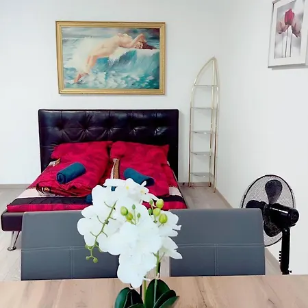 Apartment X Aug 2024 Comfort 5p Af