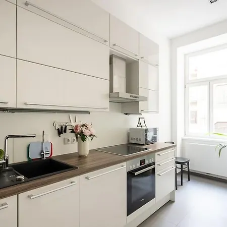 Apartamento Franz 24 - Typical Viennese In The Heart Of *