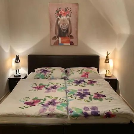 Lt Superior Location * Viena