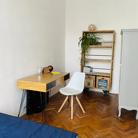 Charming Viennese Apartment *