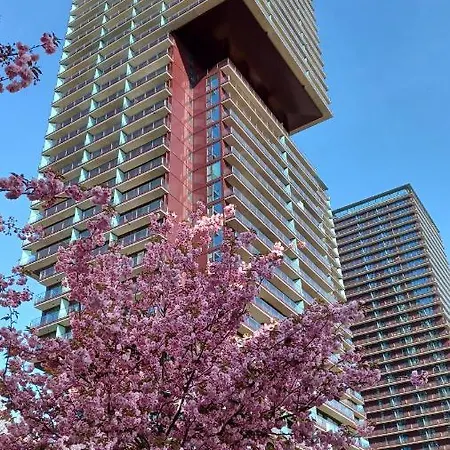 Premium Apartment, Family Friendly Apartment *