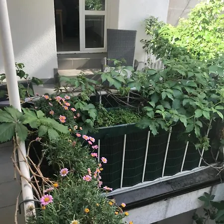 2 Apartment