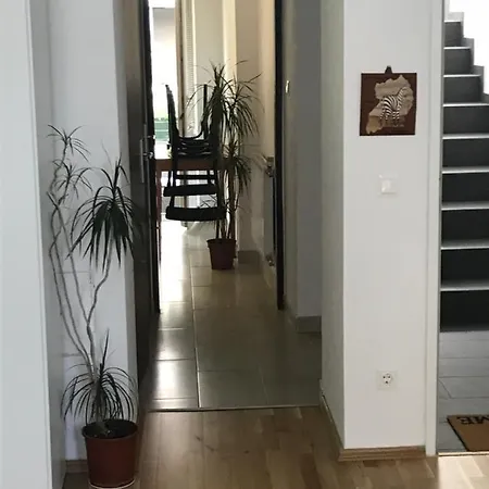 2 *