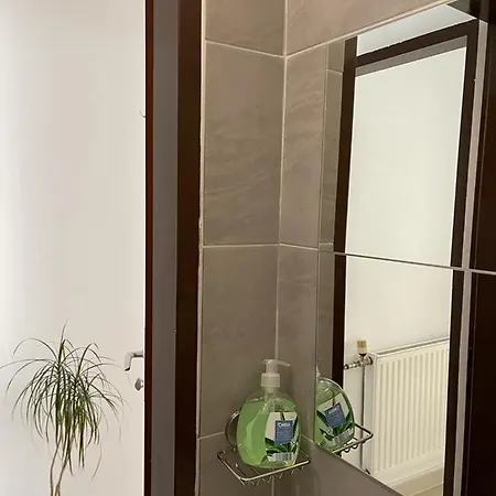 2 Vienna