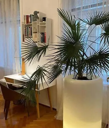 Charmante Innenstadtwohnung Apartment *