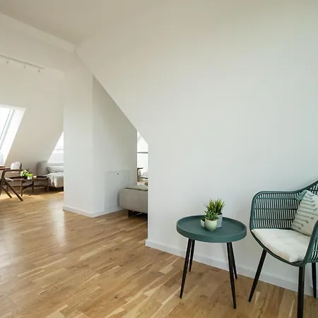 Apartment Double Floor With 2 Terraces On Rooftop Vienna