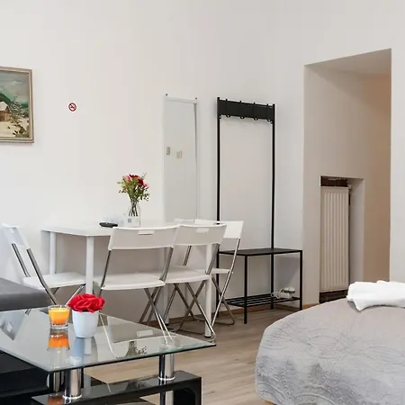 Spacious & Pleasent 2br Apt. Near Milenium Tower Apartment Vienna