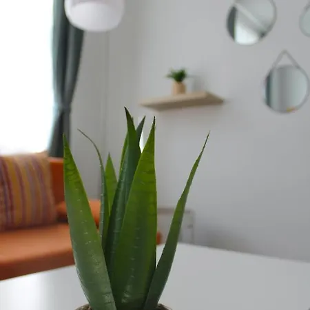 Cosy Flat Only 15 Min To Center