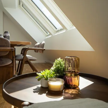 Double Floor With 2 Terraces On Rooftop Apartment Vienna
