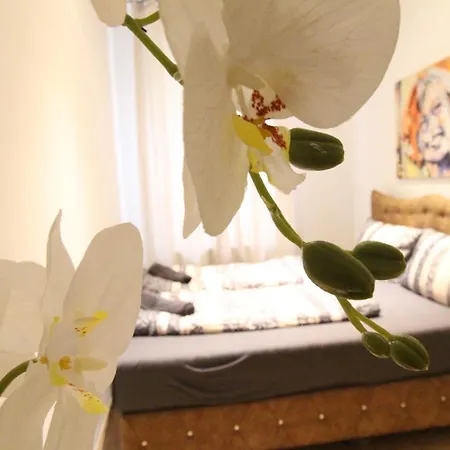 Private Double Bedroom Rf2 Apartment