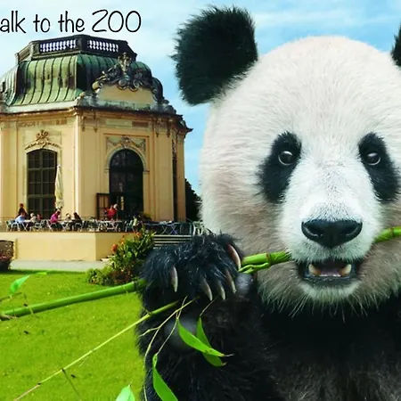 Lovely Nest! Just Beside Schoenbrunn Palace And Zoo!