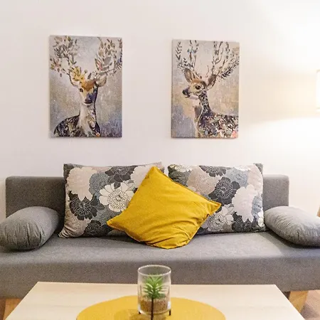 Economy 1br Well Connected To The Whole Apartment