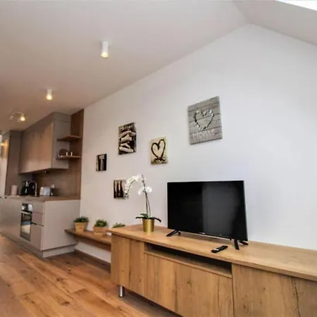 Luxury 2-floor Rooftop With Terrace In The City Center Apartament Viena