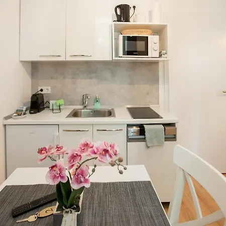 Apartment Urban House
