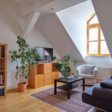 Apartment Loft *