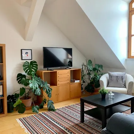 Apartment Loft