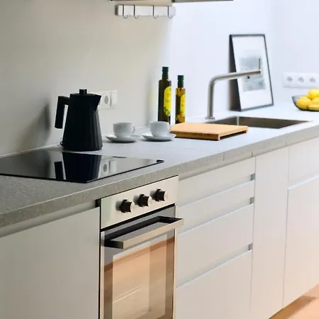 Apartment High End Attic Flat In The City Centre Wien
