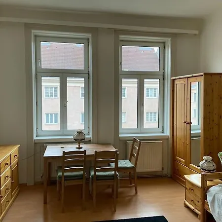 Fancy Vintage Studio Apartament